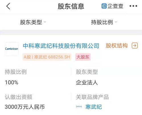 寒武紀(jì)南京新公司成立，強(qiáng)化人工智能軟件開(kāi)發(fā)布局